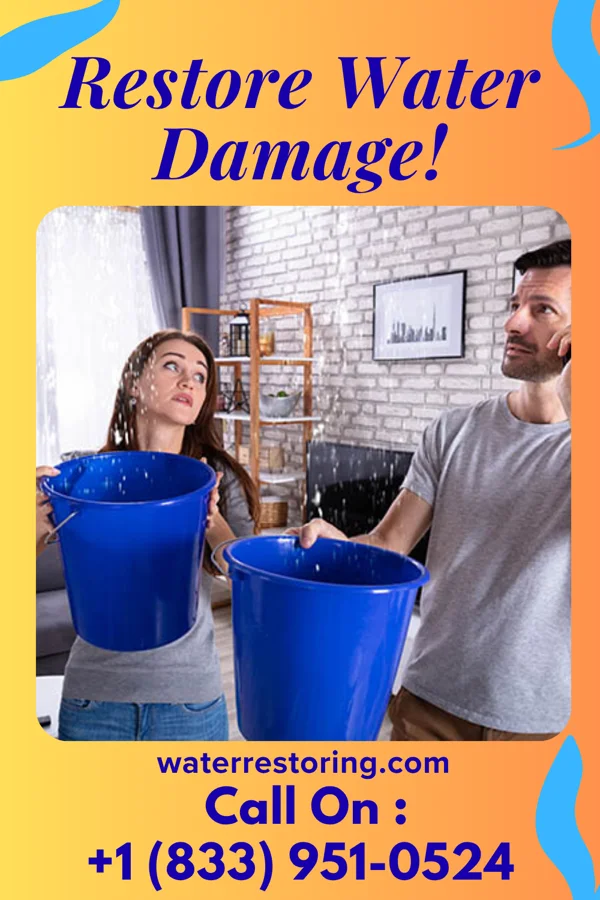 water restoration Citywide Sewage Cleanup Services Shady Spring